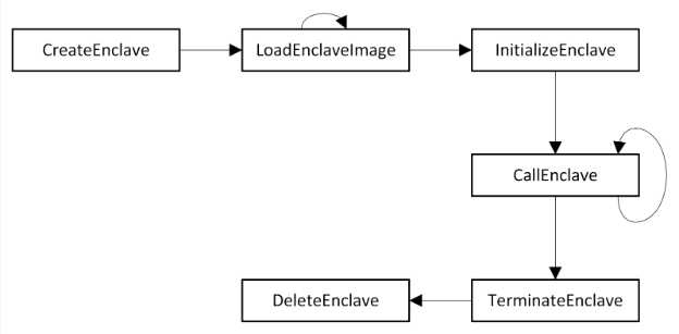 lifecycle